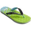 Quiksilver mens Flip Flop(Green 1)