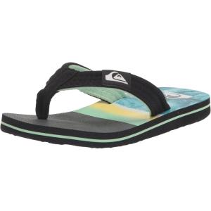 Quiksilver Boy’s Molokai Layback Youth Flip Flop Sandal(Green 1)