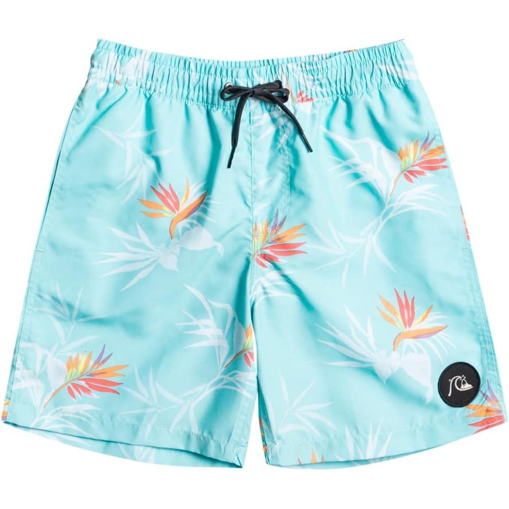 image:imageQuiksilver Boys 816 Volley 15 BoardshortEveryday MixAngel Blue