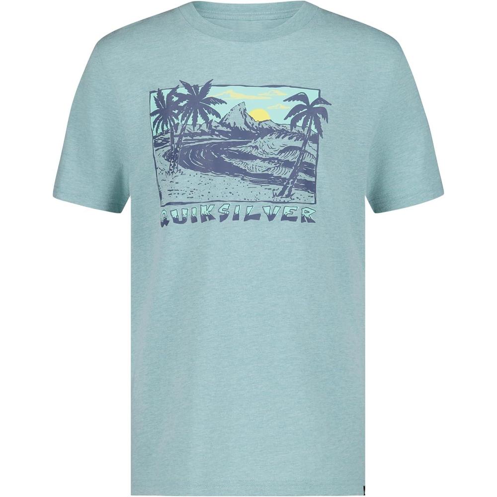 image:imageQuiksilver Boys Short Sleeve Screen Print Graphic TShirt Soft amp Comfortable Regular FitBeach Grey