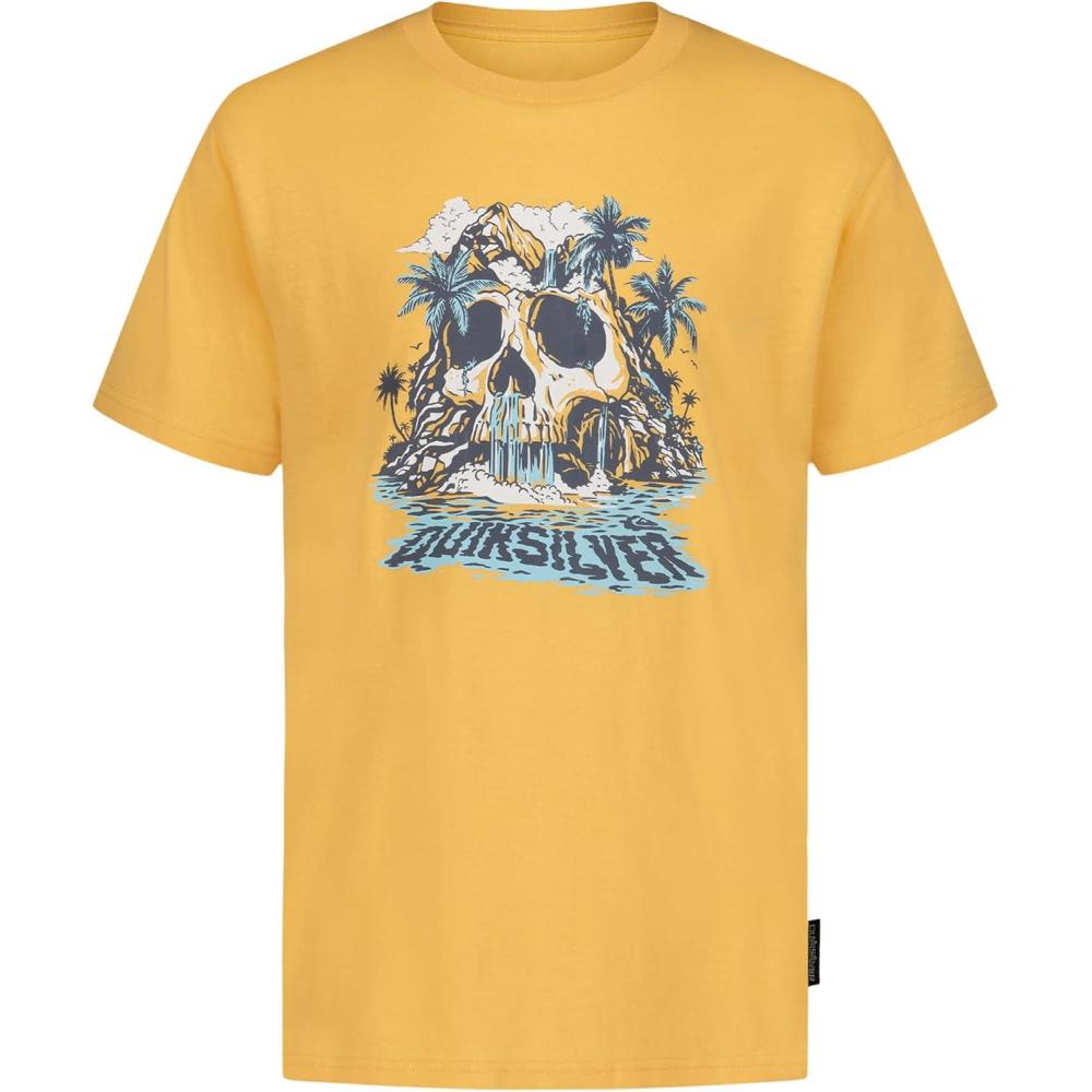 image:imageQuiksilver Boys Short Sleeve Screen Print Graphic TShirt Soft amp Comfortable Regular FitChamois Paradise