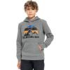 Quiksilver Big Logo Snow Hoodie – Kids’, Heather Grey, S(10)