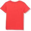 Quiksilver Boys Boy’s Argosy Short Sleeve Tee Shirt(Salsa 241)