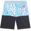 Quiksilver Boys Boy’s Surfsilk Straight Leg 17 Boardshort Swim Trunk(Crown Blue 241)