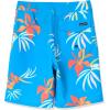Quiksilver Boys Boy’s Surfsilk Straight Leg 17 Boardshort Swim Trunk(Swedish Blue 241)