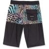 Quiksilver Boys Everyday Division Youth 14 Boardshort Swim Trunk(Black)