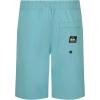 Quiksilver Boys Pull-on Amphibian Hybrid Shorts, Comfort Stretch Fabric, Water Friendly(Marine Blue Taxer)