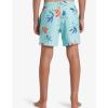 Quiksilver Boys Quiksilver Boy’s Everyday Mix 12 Volley Boardshort Swim Trunk Youth(Limpet Shell 241)