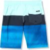 Quiksilver Boys Quiksilver Boy’s Everyday Panel 13 Boardshort Swim Trunk Youth(Limpet Shell 241)