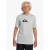 Quiksilver Boy’s Solid Streak Short Sleeve (Big Kids) Gray Violet LG (14 Big Kid)