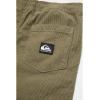 Quiksilver Boys Taxer Cord Ws (Big Kids)(Green)