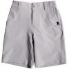 Quiksilver Kids (2-7) Amphibian 14″ Hybrid Short(Ocean Union/Sleet)