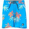 Quiksilver Boys Boy’s Surfsilk Straight Leg 17 Boardshort Swim Trunk(Swedish Blue 241)