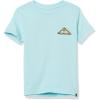 Quiksilver Boys Neon Logo Tee Shirt(Angel Blue)