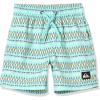 Quiksilver Boys Quiksilver Boy’s Everyday Heritage 13 Volley Boardshort Swim TrunkBoard Shorts(Marine Blue 241)