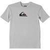 Quiksilver Boy’s Solid Streak Short Sleeve (Big Kids) Gray Violet LG (14 Big Kid)
