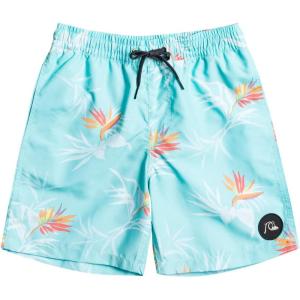 Quiksilver Boys (8-16) Volley 15″ Boardshort(Everyday Mix/Angel Blue)