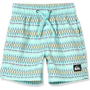 Quiksilver Boys Quiksilver Boy’s Everyday Heritage 13 Volley Boardshort Swim TrunkBoard Shorts(Marine Blue 241)