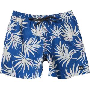 Quiksilver Boys Quiksilver Boy’s Everyday Mix 12 Volley Boardshort Swim Trunk Youth(Monaco Blue 241)
