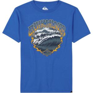 Quiksilver Boys Short Sleeve Screen Print Graphic T-Shirt, Soft & Comfortable, Regular Fit(Nebulas Blue Wave)