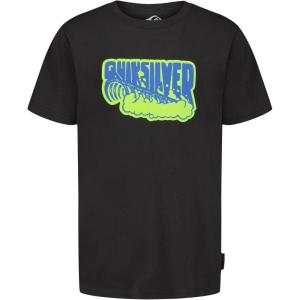 Quiksilver Boys Short Sleeve Screen Print Graphic T-Shirt, Soft & Comfortable, Regular Fit(Phantom Archwave)