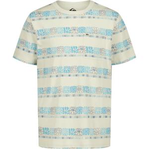 Quiksilver Boys Short Sleeve Striped T-Shirt, Soft & Comfortable, Regular Fit(Bone White)