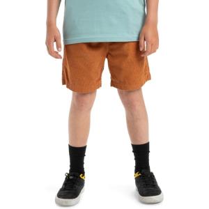 Quiksilver Boys Taxer Cord Youth(Bran)