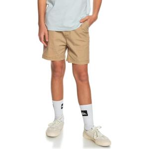 Quiksilver Boys’ Taxer Ws Youth Shorts(Plage)