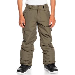 Quiksilver Porter Kids Snowboard Pants Grape Leaf Sz S (10)