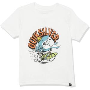 Quiksilver Risk Tee Shirt Boy(White)
