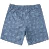 Quiksilver Mens Deck Stripe Volley Volley Swim Trunk Bathing Suit(Fin Party/Ensign Blue)