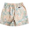 Quiksilver Mens Men’s Ginger Stalks Volley Elastic Waist Boardshort Swim Trunk(Birch)