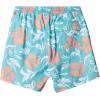 Quiksilver Mens Men’s Ginger Stalks Volley Elastic Waist Boardshort Swim Trunk(Ceramic Vly Big Charmer (Big Charmer))