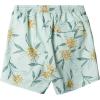 Quiksilver Mens Men’s Ginger Stalks Volley Elastic Waist Boardshort Swim Trunk(Subtle Green Perfect Bloom Vly 233)