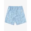Quiksilver Mens Men’s Marlin Jig Volley Swim Trunk Boardshort(Dusk Blue Marlin Vy)