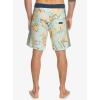 Quiksilver Men’s Standard Highlite Arch 19 Boardshort Swim Trunks(Iced Aqua)