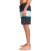 Quiksilver Men’s Standard Surfsilk Resin Tint 19 Boardshort Swim Trunk(Black)