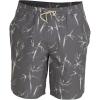 Quiksilver Mens Deck Stripe Volley Volley Swim Trunk Bathing Suit(Black (Pre Chopsticks Volley))