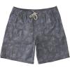 Quiksilver Mens Deck Stripe Volley Volley Swim Trunk Bathing Suit(Fin Party/Black)