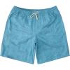 Quiksilver Mens Deck Stripe Volley Volley Swim Trunk Bathing Suit(Fin Party/Blue Moon)