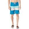Quiksilver Men’s Everyday 21″ Board Shorts(Seaport Amazon 21 Stripe)