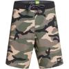 Quiksilver Men’s Highlite Arch 19 Boardshort Swim Trunk(Thyme (Cqy6))