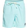 Quiksilver Mens Men’s Ginger Stalks Volley Elastic Waist Boardshort Swim Trunk(Ocean Beach Please/Angel Blue)