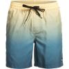 Quiksilver Mens Men’s Ginger Stalks Volley Elastic Waist Boardshort Swim Trunk(Pop Fade – Sahara Sun)