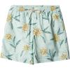 Quiksilver Mens Men’s Ginger Stalks Volley Elastic Waist Boardshort Swim Trunk(Subtle Green Perfect Bloom Vly 233)