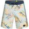 Quiksilver Men’s Standard Highlite Arch 19 Boardshort Swim Trunks(Iced Aqua)