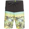 Quiksilver Mens Surfsilk Panel 20 Boardshort Swim Trunk Bathing Suit(Tarmac)