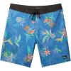 Quiksilver Mens Surfsilk Straight Leg 19 Boardshorts Swim Trunk(Star Sapphire)