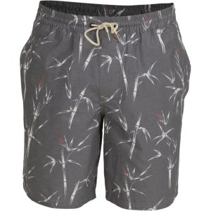 Quiksilver Mens Deck Stripe Volley Volley Swim Trunk Bathing Suit(Black (Pre Chopsticks Volley))