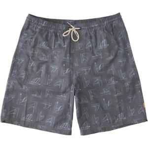 Quiksilver Mens Deck Stripe Volley Volley Swim Trunk Bathing Suit(Fin Party/Black)